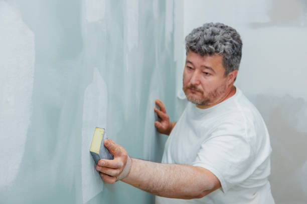 Best Dehumidification Services  in Brooklyn, OH