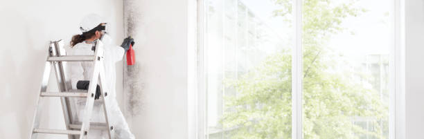 Best Residential Mold Inspection & Testing  in Brooklyn, OH