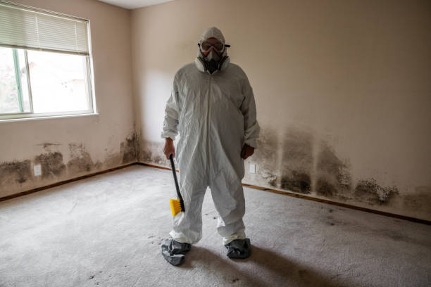 Best Mold Removal for HVAC Installations  in Brooklyn, OH